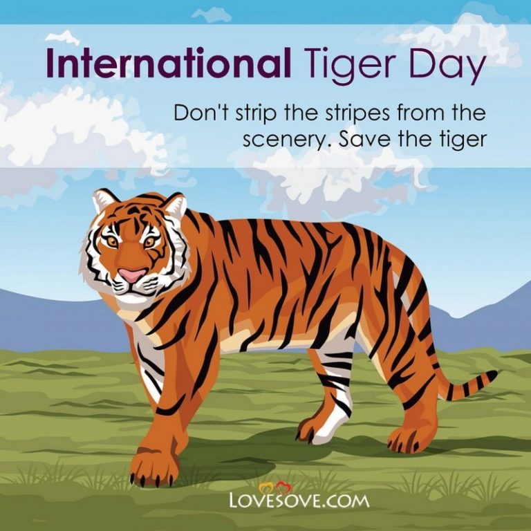 20+ Best International Tiger Day Images, Messages , Quotes