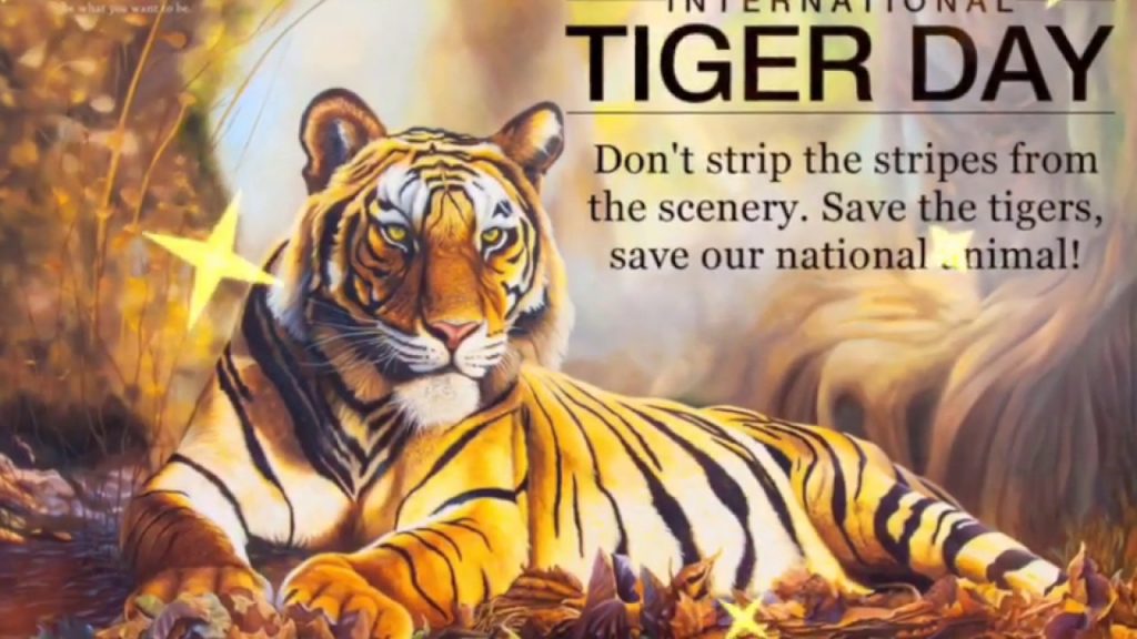 20+ Best International Tiger Day Images, Messages , Quotes