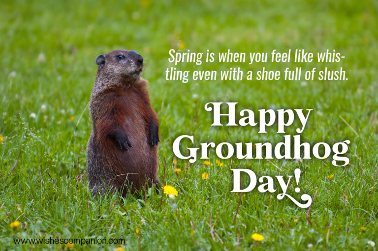 Happy Groundhog Day Wishes and Quotes