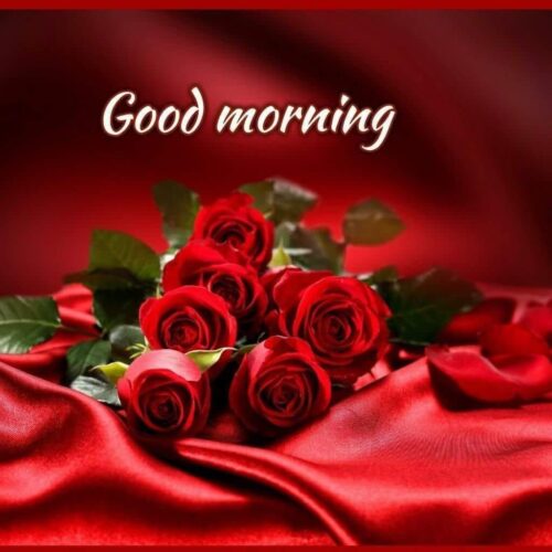 Good Morning Wishes Image with Roses - Wishes Companion