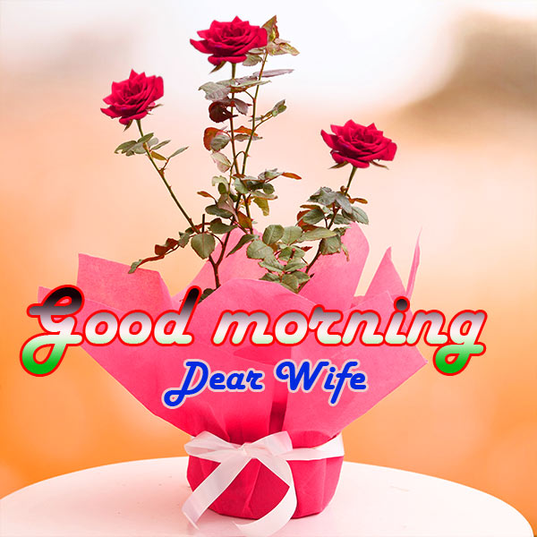 Best 100+ Good Morning Wife Wishes Images and Pictures - Wishes Companion
