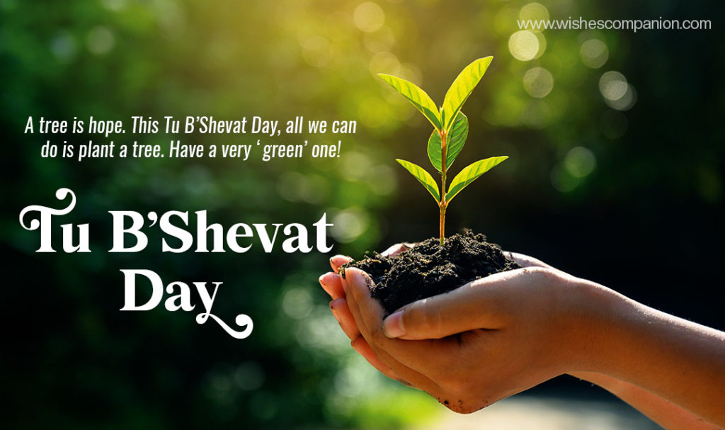 Tu B’Shevat Day Wishes, And Greetings