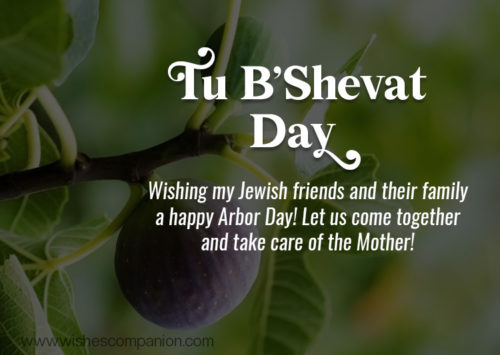 Tu B’Shevat Day Wishes, And Greetings