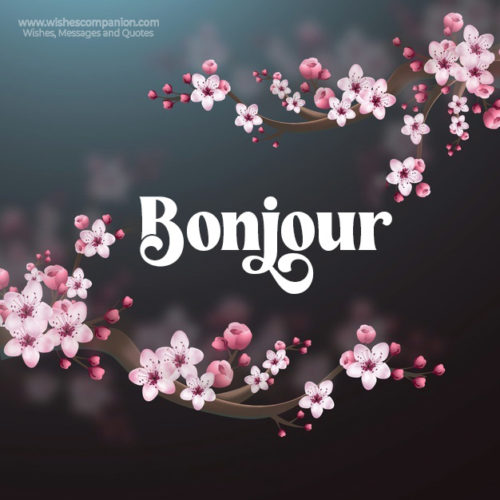 Bonjour Images With Flowers Wishes Companion