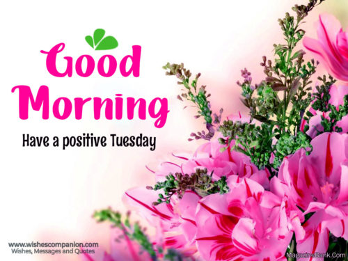 Happy Tuesday Morning Wishes and Images - Wishes Companion