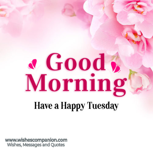 Happy Tuesday Morning Wishes and Images - Wishes Companion