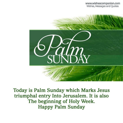 Palm Sunday Wishes and Messages, Greetings - Wishes Companion