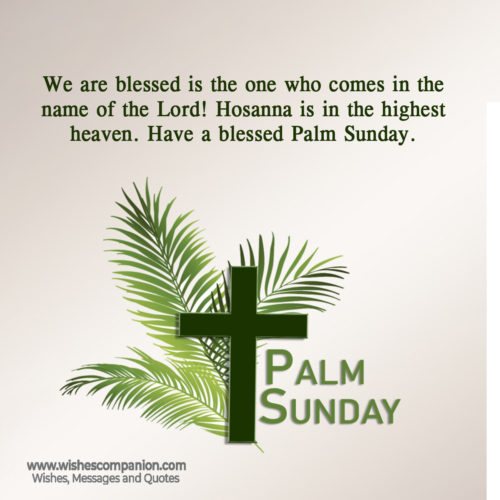 Palm Sunday Wishes and Messages, Greetings - Wishes Companion