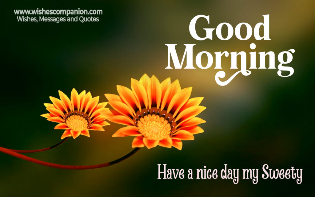 Romantic Good Morning Messages, Wishes and Images