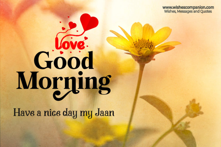 Romantic Good Morning Messages Wishes And Images