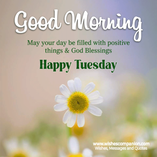 50+ Good Morning Tuesday Blessings with images - Wishes Companion