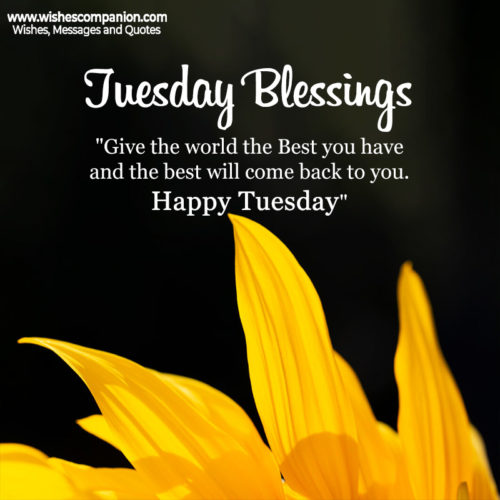 Good Morning Tuesday Quotes, Messages and Images - Wishes Companion