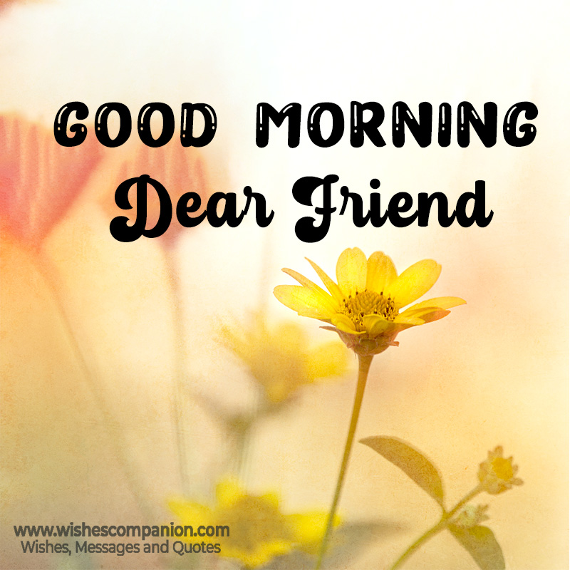 Good Morning Messages, Wishes for Friends - Wishes Companion