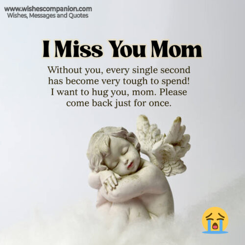 50 Heart Touching I Miss You Mom Status And Images 7987