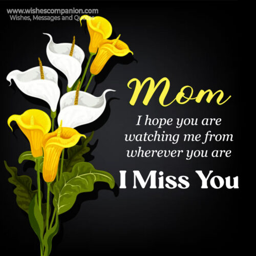 50+ Heart Touching I Miss You Mom Status and Images