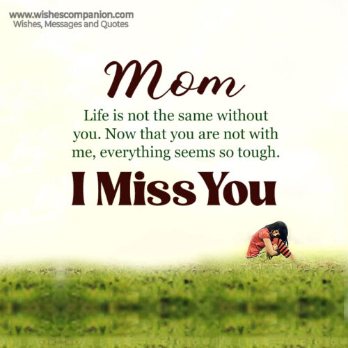 50+ Heart Touching I Miss You Mom Status and Images