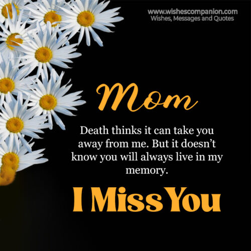 50+ Heart Touching I Miss You Mom Status and Images