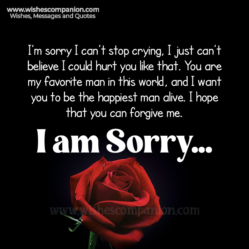 im sorry quotes for boyfriends