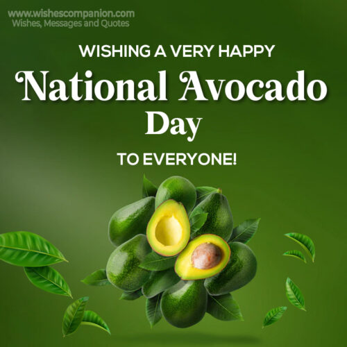 National Avocado Day Wishes, Messages, and Quotes