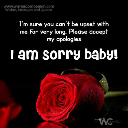 Heart Touching “I Am Sorry” Messages for Girlfriend