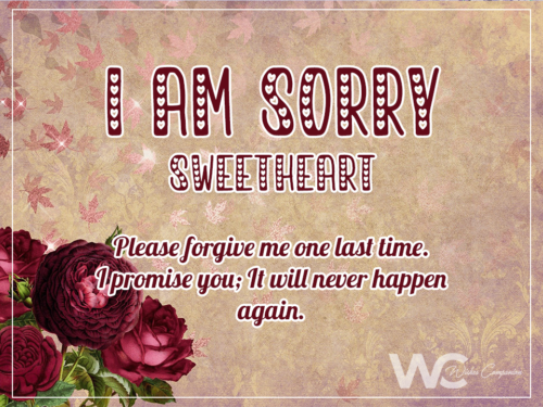 Heartfelt Sorry Messages For Husband – Sorry Quotes - Wishes Companion