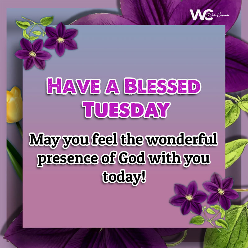 Good Morning Tuesday Blessings Wishes & Images - Wishes Companion