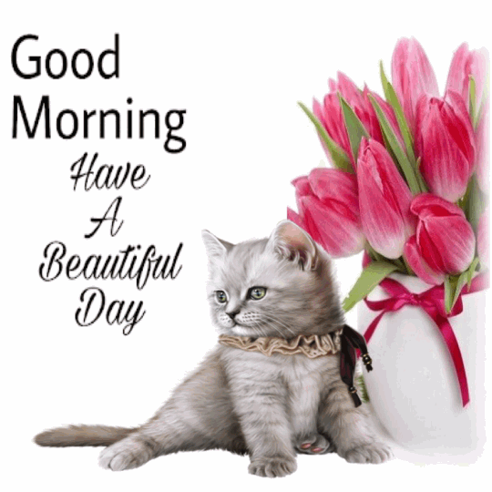 Good Morning Cat Gif with Beautiful Roses