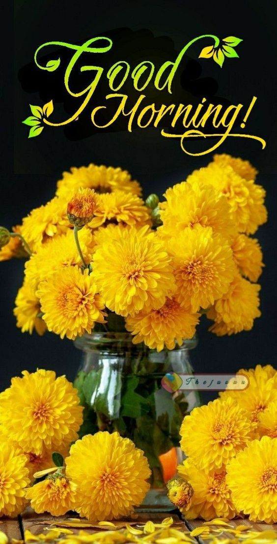 Marigold Flower Bouquet Good Morning Photos